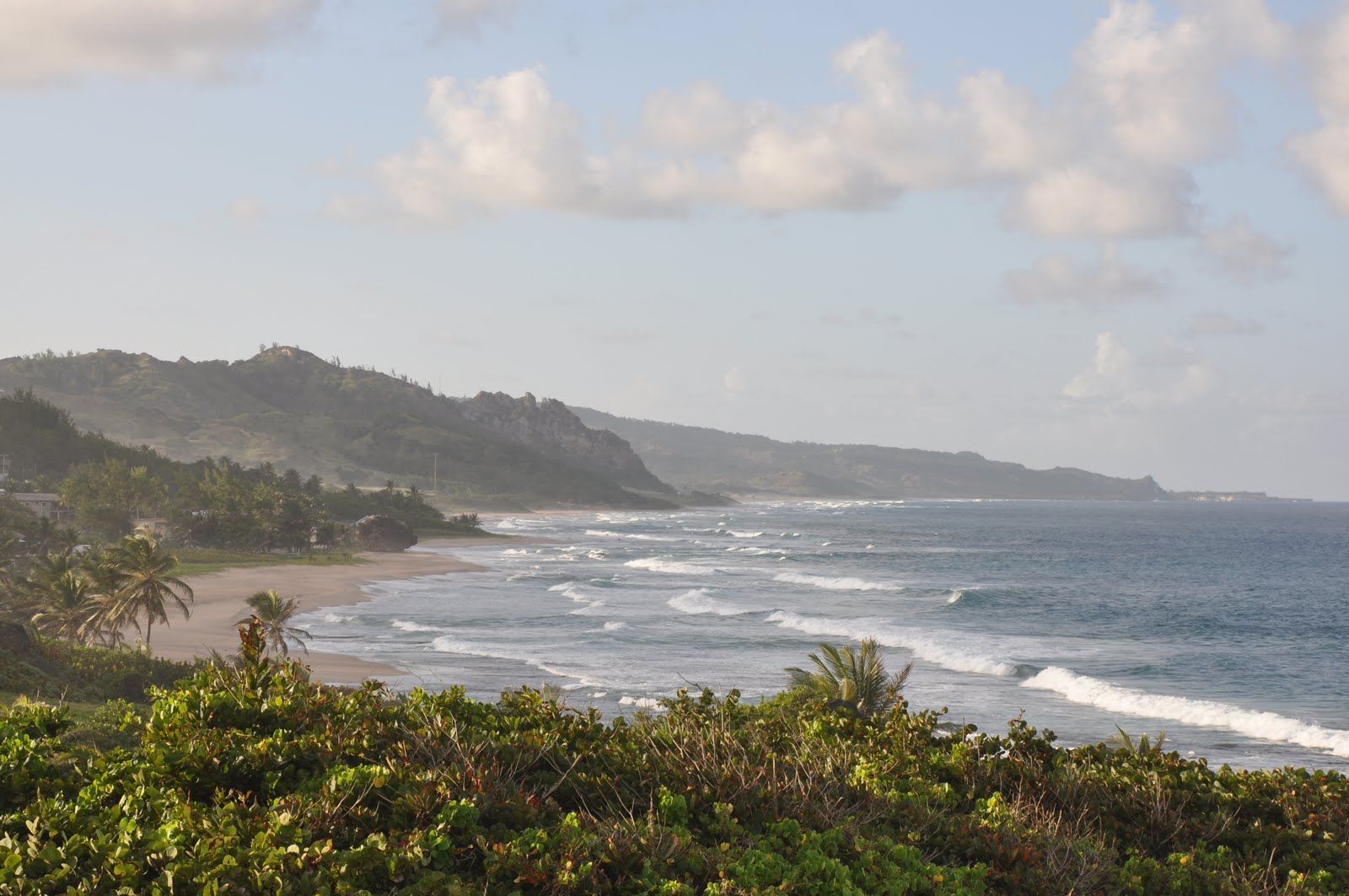 Things to do while in Barbados