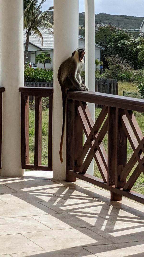 March 2020 Barbados Trip