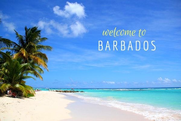 Geo-caching in Barbados